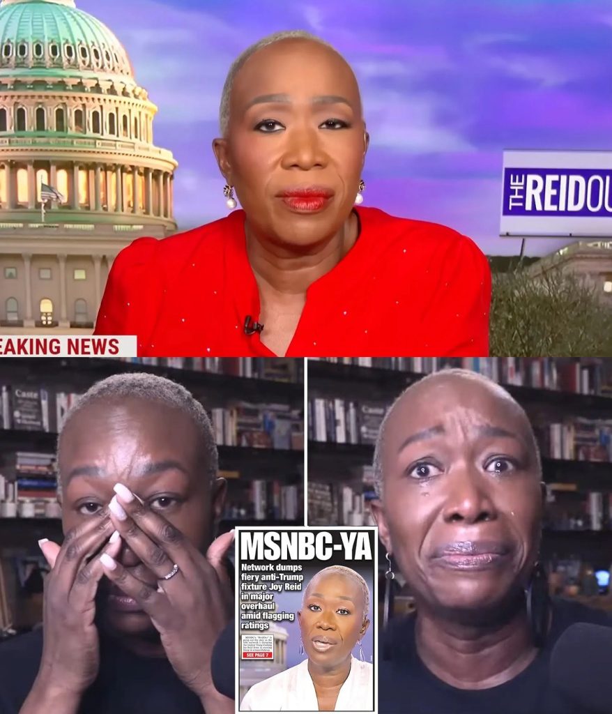 Joy Reid breaks her silence after being unjustly fired by MSNBC. She reveals the secrets behind what made…