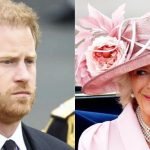 «Gossips were true!» Prince Harry flows to the UK after the King’s cancer diagnosis and evokes the Queen’s fury