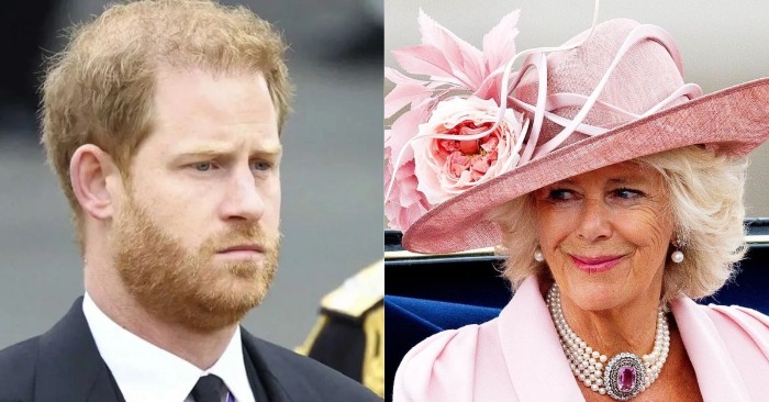 «Gossips were true!» Prince Harry flows to the UK after the King’s cancer diagnosis and evokes the Queen’s fury
