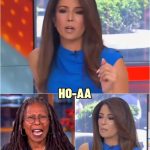 Controversial comment — Fox News host Julie Banderas delivers cruel jab at Whoopi Goldberg in live broadcast