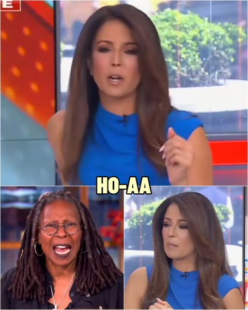 Controversial comment — Fox News host Julie Banderas delivers cruel jab at Whoopi Goldberg in live broadcast