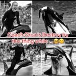 Coach Orca is Destroy by this thing while…