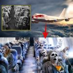 HT10. Mystery in the Skies: The Plane Lost in 1984 Reappears in 2019 with 92 Skeletons Onboard..!