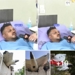 Update: Air India’s only plane survivor describes moment of crash…