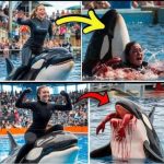 Orca trainer is devoured by this one while perfor…