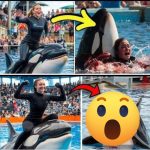 Coach Orca is Destroy by this thing while…$!