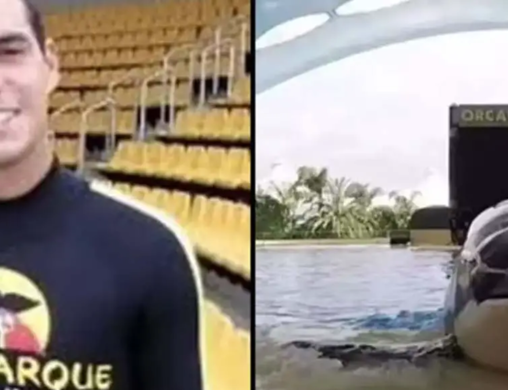 Footage shows SeaWorld trainer’s tragic death after brutal orca attack
