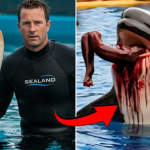 DEATH IN THE POOL: Killer Whale Suddenly Snaps – Trainer’s Last Moments Will Haunt You..!$